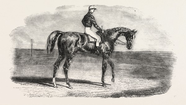 ASCOT RACES: WOOLWICH, THE WINNER OF THE EMPEROR'S VASE; Little Jack made all the running, Woolwich