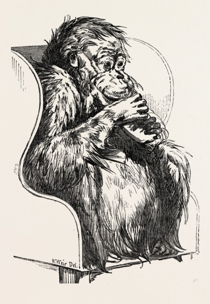 ORANG UTAN, PRESENTED TO THE ZOOLOGICAL SOCIETY'S GARDENS, REGENT'S PARK, LONDON, UK, 1851