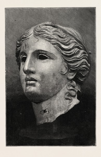 THE CASTELLANI COLLECTION AT THE BRITISH MUSEUM: BRONZE HEAD OF APHRODITE, UK, 1873 engraving