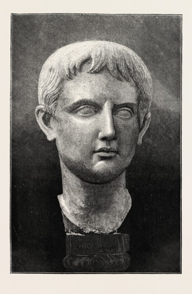 THE CASTELLANI COLLECTION AT THE BRITISH MUSEUM: MARBLE HEAD OF YOUNG AUGUSTUS, UK, 1873 engraving