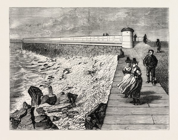 INAUGURATION OF THE HOLYHEAD BREAKWATER AND HARBOUR OF REFUGE BY H.R.H. THE PRINCE OF WALES: SHORE