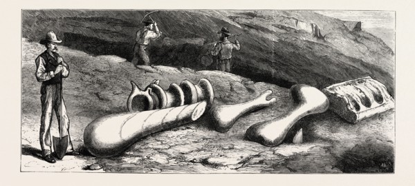 REMAINS OF GIGANTIC ANTEDILUVIAN ANIMALS RECENTLY DISCOVERED IN THE ROCKY MOUNTAINS, COLORADO,