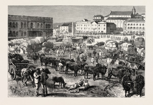 THE EARLY MORNING MARKET, PORT ELIZABETH, CAPE COLONY, SOUTH AFRICA