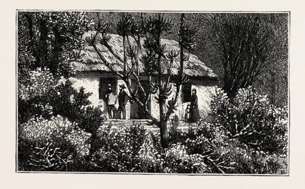 A COTTAGE IN THE BUSH, CAPE COLONY, SOUTH AFRICA