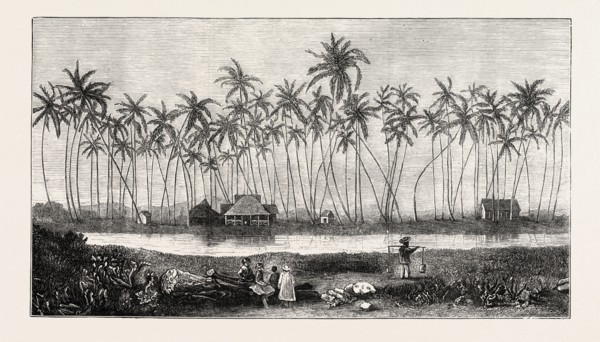 THE SUMMER RESIDENCE OF THE LATE KING KAMEHAMEHA V. AT WAIKIKI, 1873 engraving