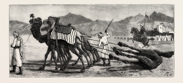 THE CAMPAIGN IN AFGHANISTAN: A CAMEL'S FUNERAL PROCESSION