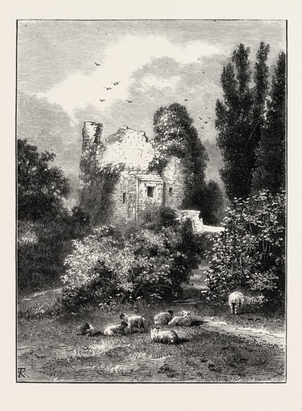 REMAINS OF ANCIENT CASTLE, HAWARDEN PARK, WALES, UK