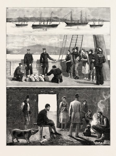THE RELIEF OF IRISH DISTRESS, VISITING TOUR OF H.R.H. THE DUKE OF EDINBURGH: 1. The Relief Squadron