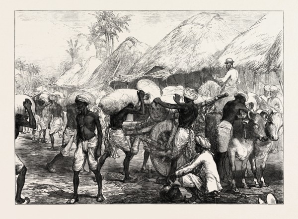 THE FAMINE IN BENGAL: LOADING GRAIN CARTS NEAR CALCUTTA