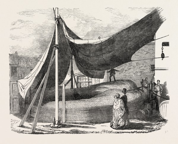 THE SUBMARINE TELEGRAPH ROPE COMPLETE