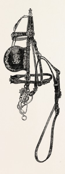 SILVER MOUNTED CARRIAGE HARNESS, BY J.C. WHITE