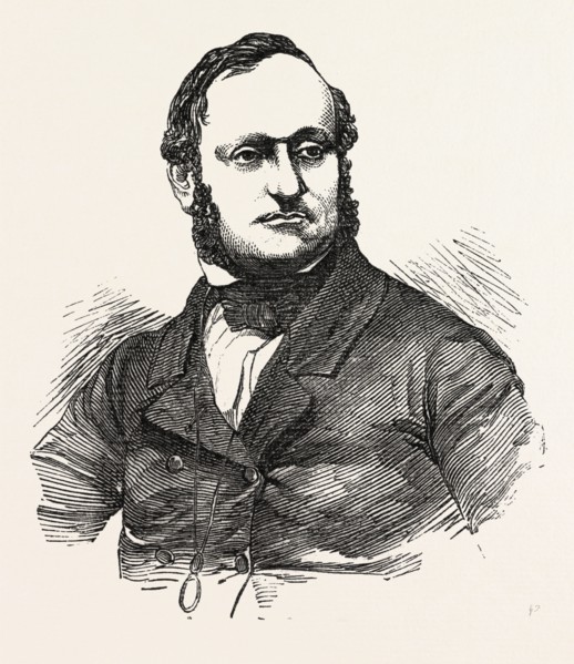 M. WOLOWSKI, PROFESSOR OF THE MUSEUM OF ARTS AND SCIENCES. MEMBER OF THE LEGISLATIVE ASSEMBLY,