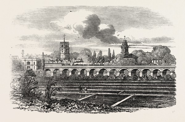 HACKNEY STATION, AND WATERCRESS PLANTATION, LONDON, UK