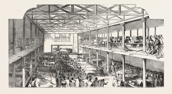 THE SMITHFIELD CLUB CAITLE SHOW, THE NEW DEPARTMENT FOR EXTRA STOCK, ETC., UK