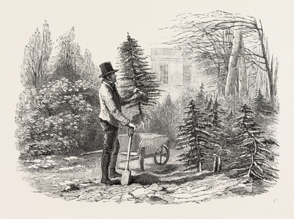 "SO THE LITTLE FIR-TREE WENT OFF IN ITS WHEELBARROW, AND TRIED TO SIT IN IT WITH A JAUNTY AIR, AS
