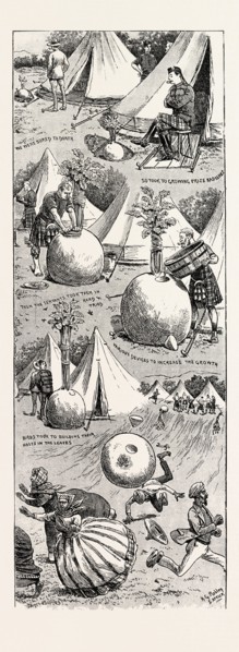 WONDERS IN BOTANY: THE STORY OF THE GROWTH OF SOME GIANT RADISHES, 1892 engraving