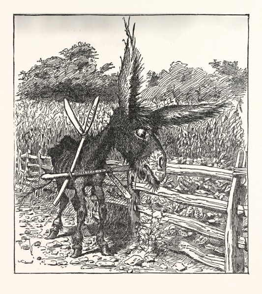 HUNGRY DEMOCRACY THE GREATEST FASTER RECORD. Engraving 1880, US, USA