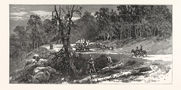 CENTRAL AVENUE. THE NEW RUGBY, engraving 1880, US, USA, America
