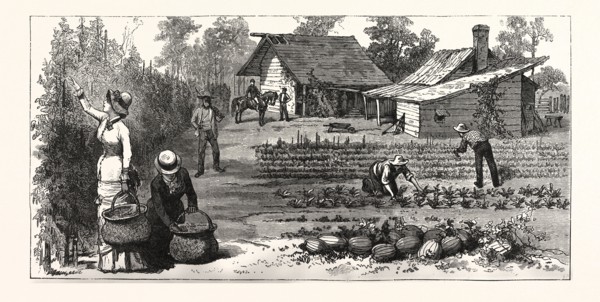 ENGLISH GARDEN. SCENES RUGBY, THE ENGLISH COLONY TENNESSEE, engraving 1880, US, USA, America