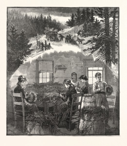 MAKING WREATHS, PREPARING CHRISTMAS GREENS, US, USA, AMERICA, UNITED STATES, AMERICAN, ENGRAVING