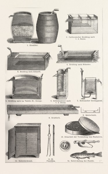 Fish production, fish farming, aquaculture, aquafarming, around 1890, 19th century, liszt gourmet