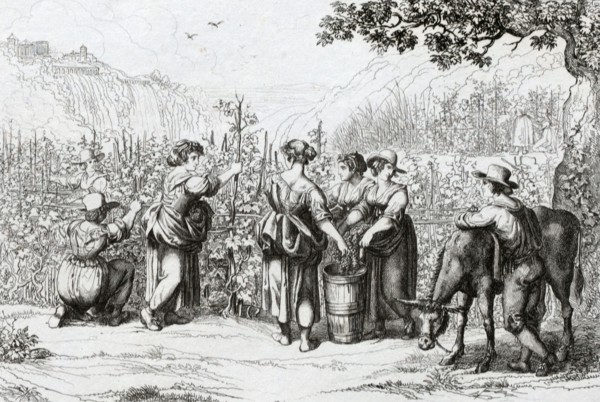 The harvest in Tivoli, La vendemmia in Tivoli, 1840 by B. Pinelli, Italy, harvest of the grapes.