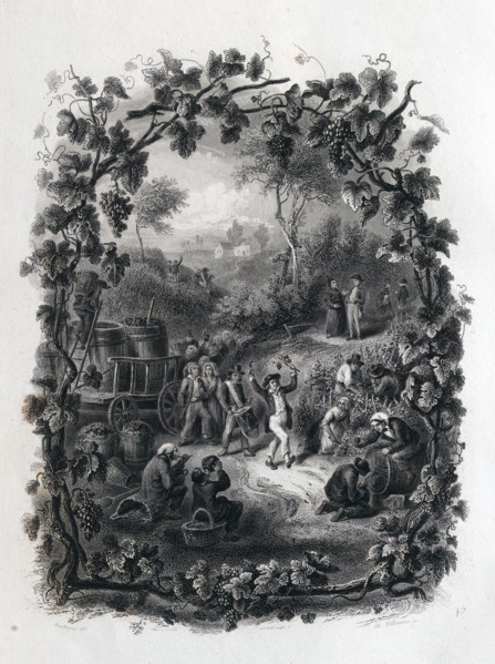 The grapes harvest in france by Daubigny. food and drink,  wine, winemaking, winery, grape,
