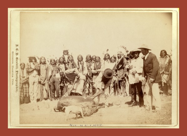 Skinning beef at beef issue, John C. H. Grabill was an american photographer. In 1886 he opened his