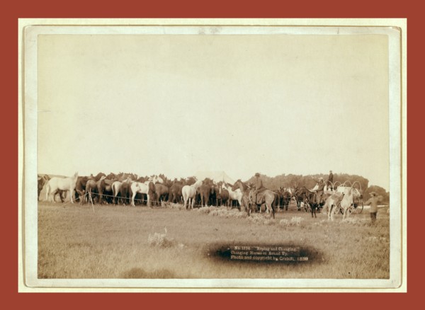 Roping and changing. Changing horses on round up, John C. H. Grabill was an american photographer.