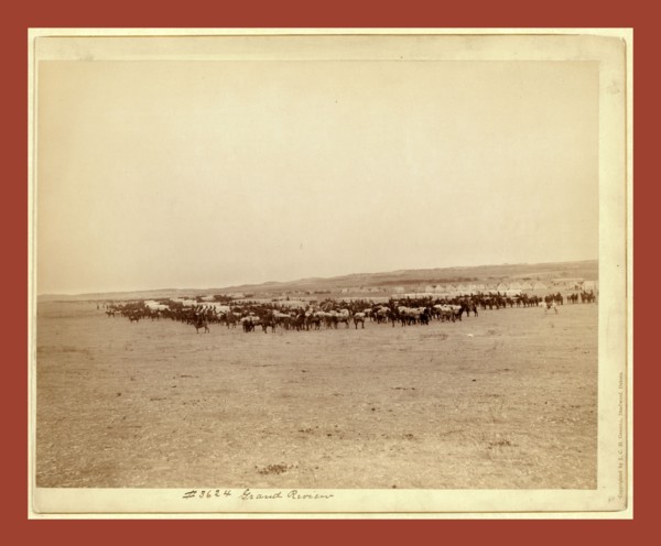 Grand review, John C. H. Grabill was an american photographer. In 1886 he opened his first