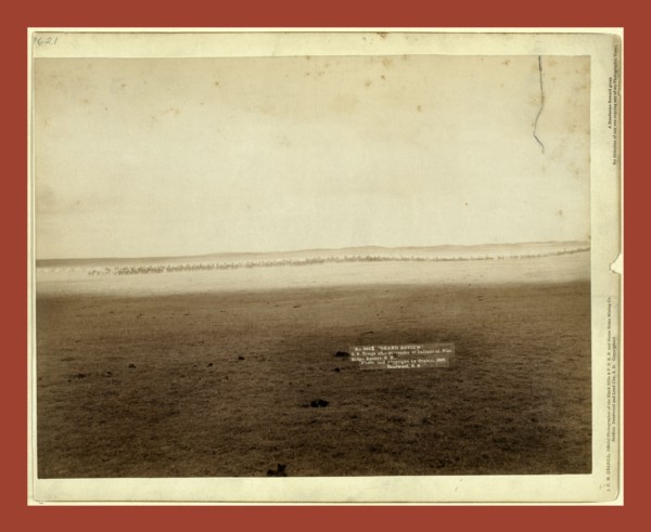 Grand review. U.S. troops after surrender of Indians at Pine Ridge Agency, S.D., John C. H. Grabill