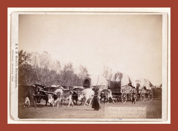 Freighting in the Black Hills, John C. H. Grabill was an american photographer. In 1886 he opened
