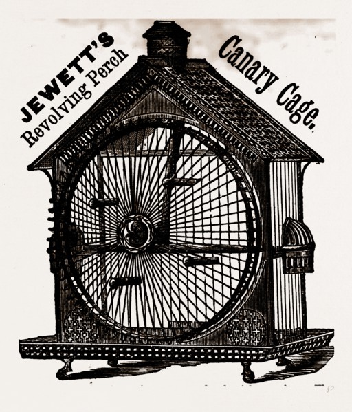NEARLY the whole front is a wheel with perches. The bird hopping from perch to perch gives motion,
