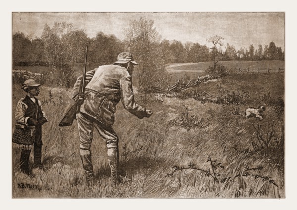 GUN-SHY, DRAWN BY A. B. FROST., 1880, 19th century engraving, USA, America