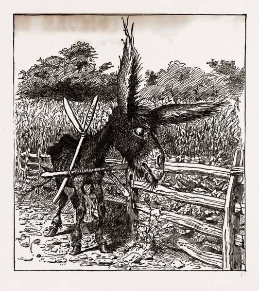THE HUNGRY DEMOCRACYâ€îTHE GREATEST FASTER ON RECORD, USA, America, 19th century engraving