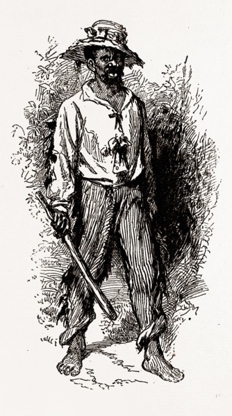 GEORGIA, a Greene County African-American, 1880, 19th century engraving, USA, America