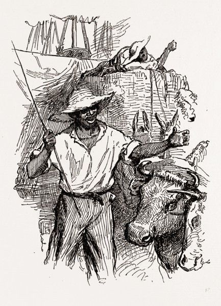 Georgia, African-American drivers, 1880, 19th century engraving, USA, America