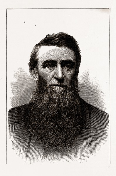 THE HON. D. H. JEROME, GOVERNOR-ELECT OF MICHIGAN, 19th century engraving, USA, America