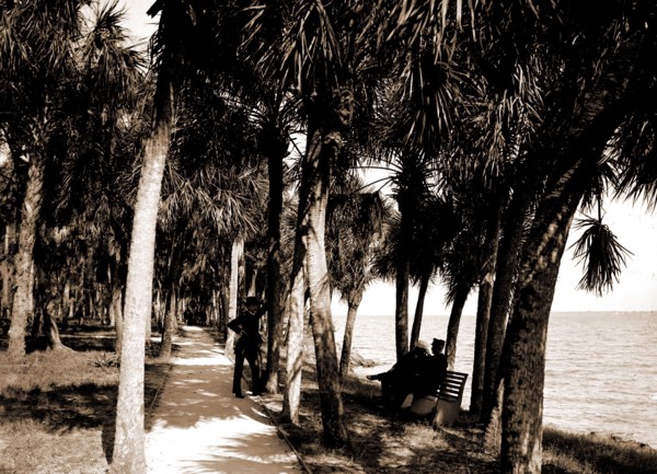 The walk at Rockledge, Indian River, Jackson, William Henry, 1843-1942, Hotels, Trails & paths,