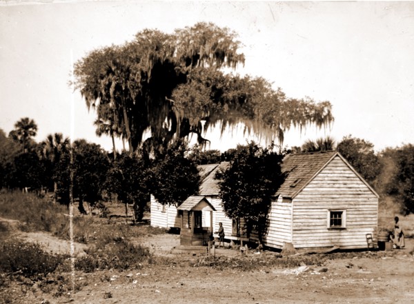 Negro cabin and oaks, Florida, Jackson, William Henry, 1843-1942, Dwellings, African Americans,