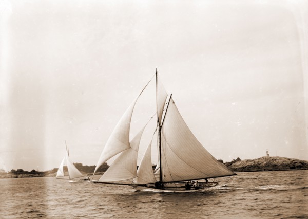 Shark, Shark (Yacht), Yachts, 1890