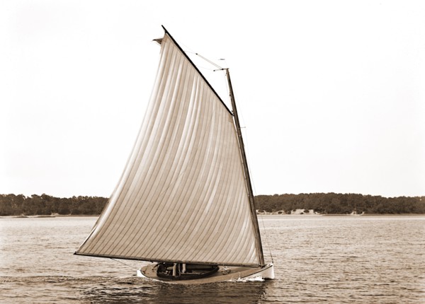 Rocket, Rocket (Sailboat), Sailboats, 1880