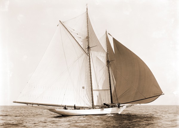 Alcaea, Alcaea (Schooner), Morgan Cup race, Regattas, Yachts, 1892