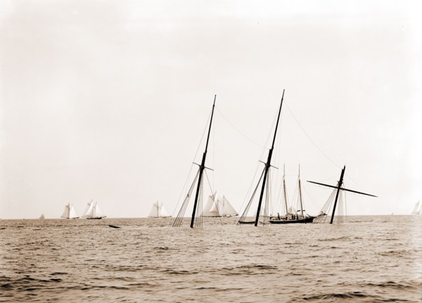 Wreck of Alba, Aug. 8, 1892, Alba (Yacht), Marine accidents, Yachts, 1892