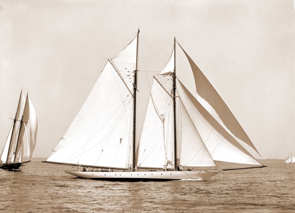Corona, flagship of Commodore Ledyard, Corona (Schooner), Yachts, 1900
