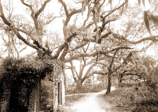 Chicora Park, Charleston, S.C, Parks, United States, South Carolina, Charleston, 1890