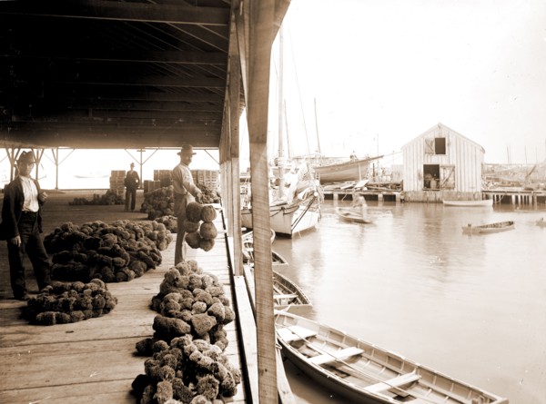 Sponge exchange on wharf, Key West, Fla, Piers & wharves, Sponges, Commodity exchanges, United