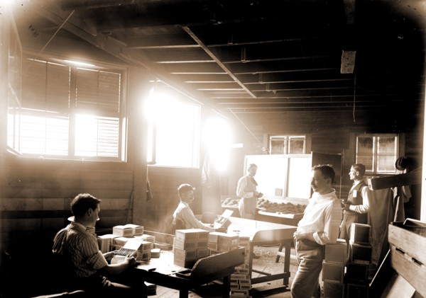 Packing cigars, Key West, Fla, Cigar industry, Industrial facilities, Interiors, United States,