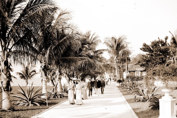 In the grounds of the Royal Poinciana, Palm Beach, Fla, Resorts, Hotels, Palms, Trails & paths,