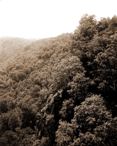 Mountainside with trees, Mountains, 1900